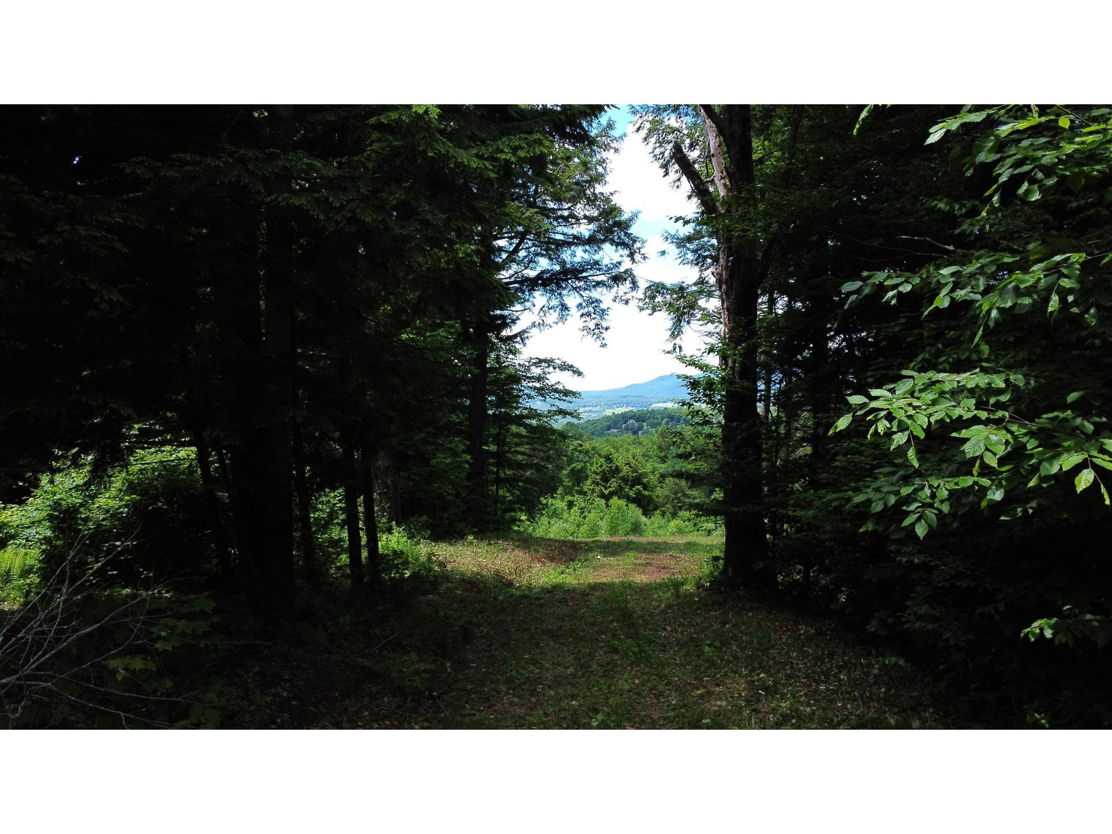 157 Bear Creek Lane