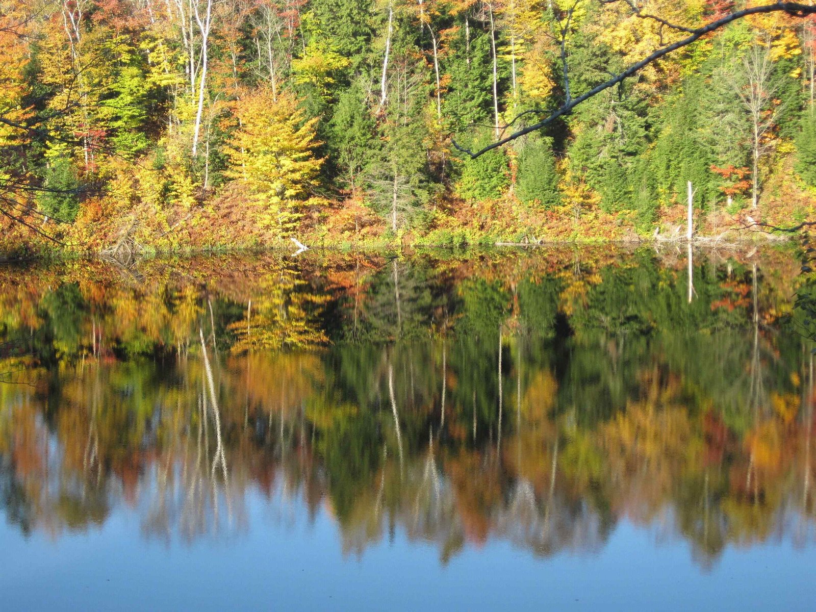 Time to Reflect