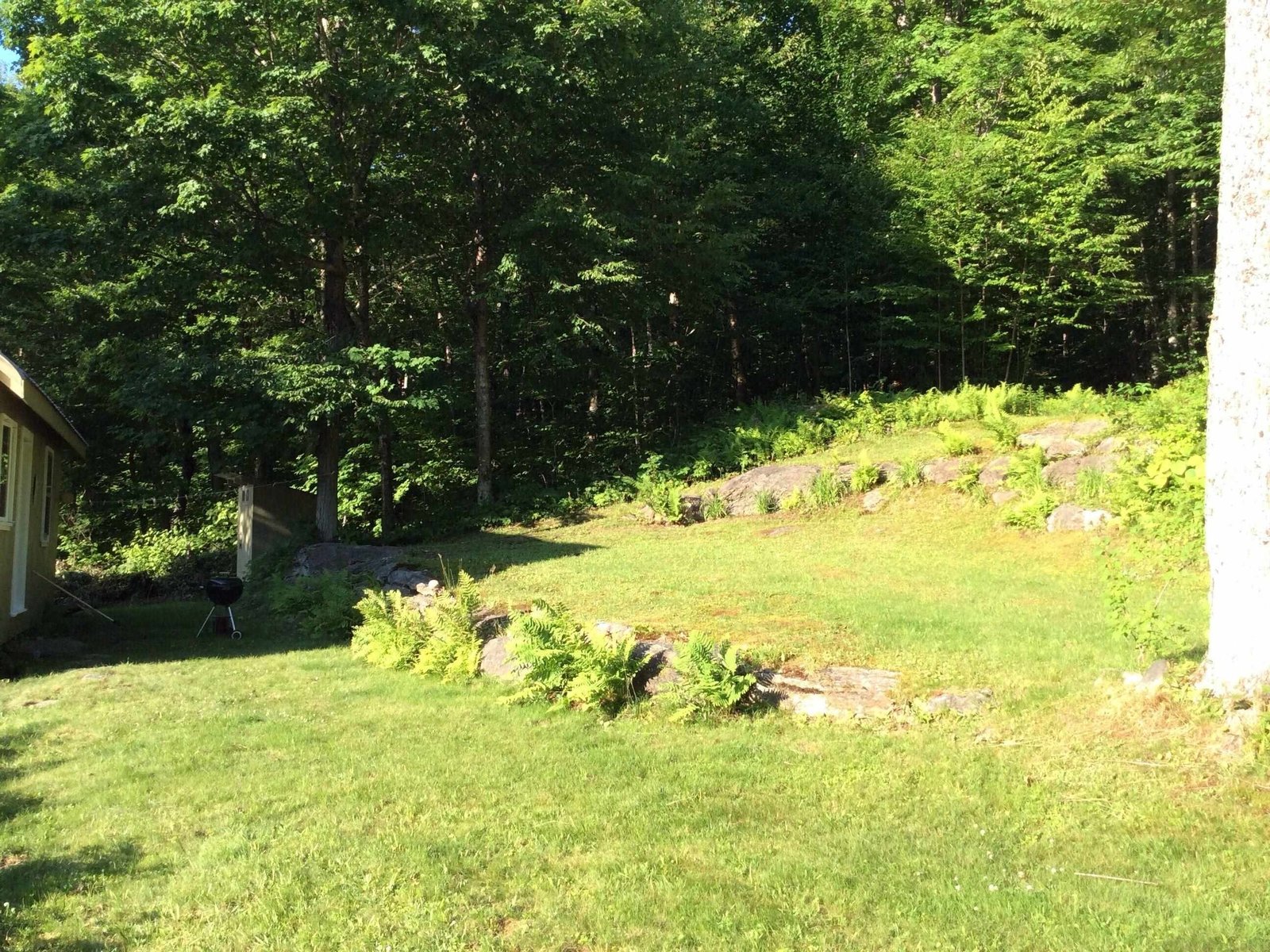 157 Gut Pond Drive