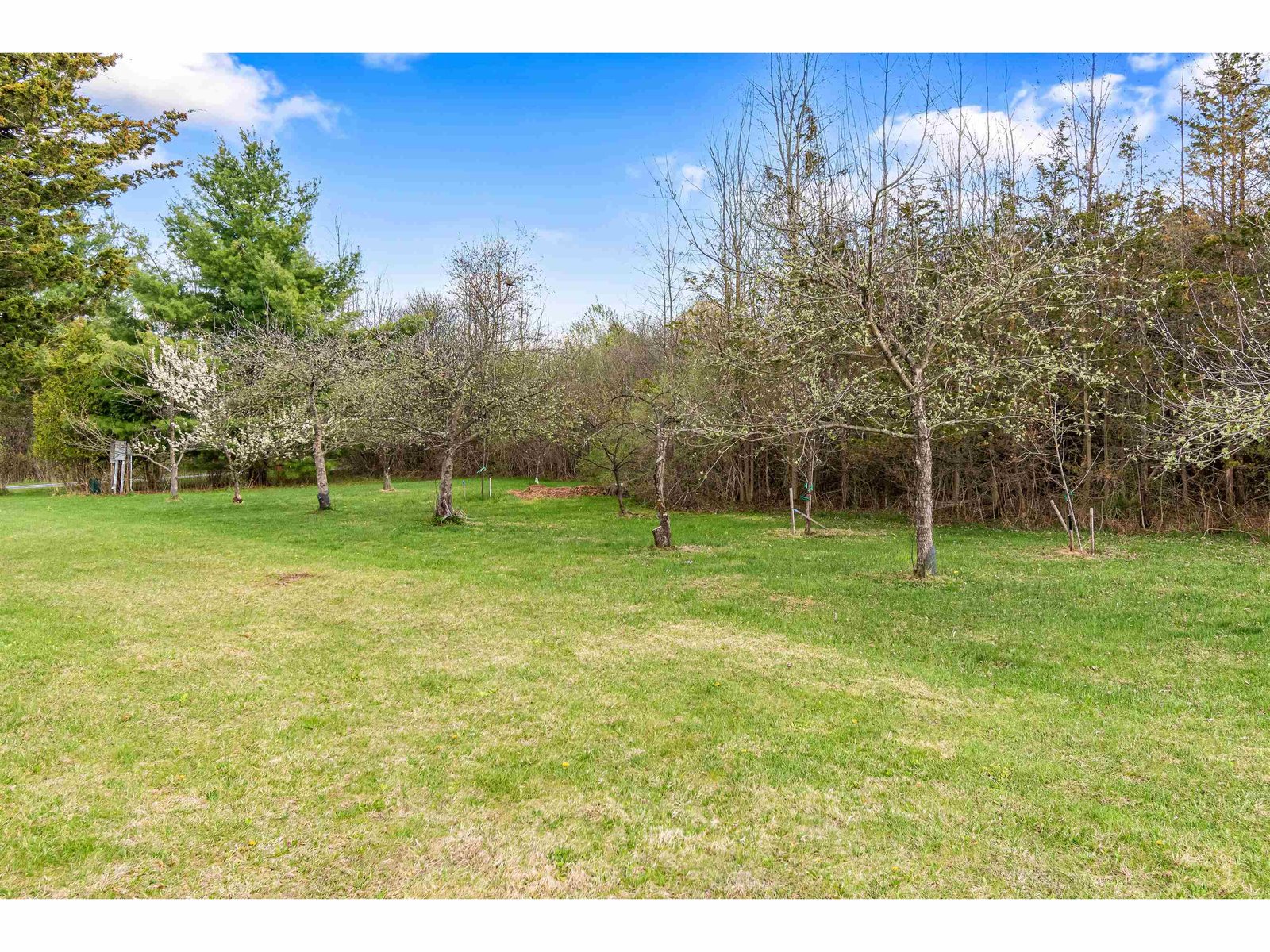 Natural Plantings Throughout Including Your Own Orchard