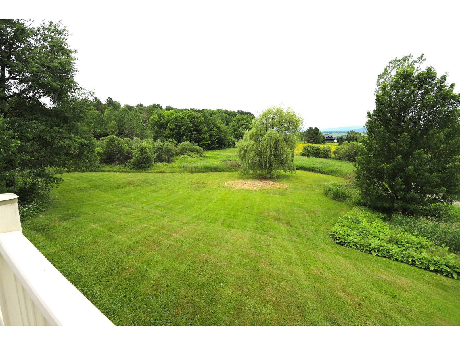 Back Deck View