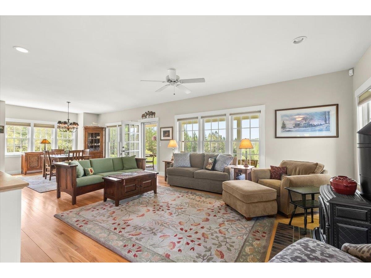 SW facing windows
