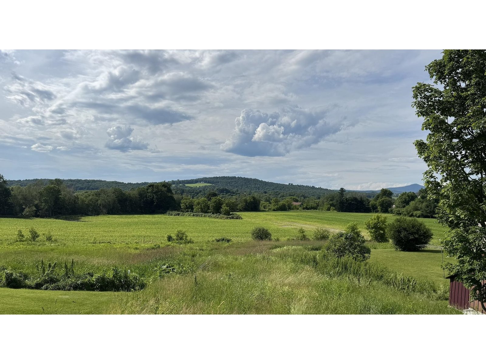 View from back deck