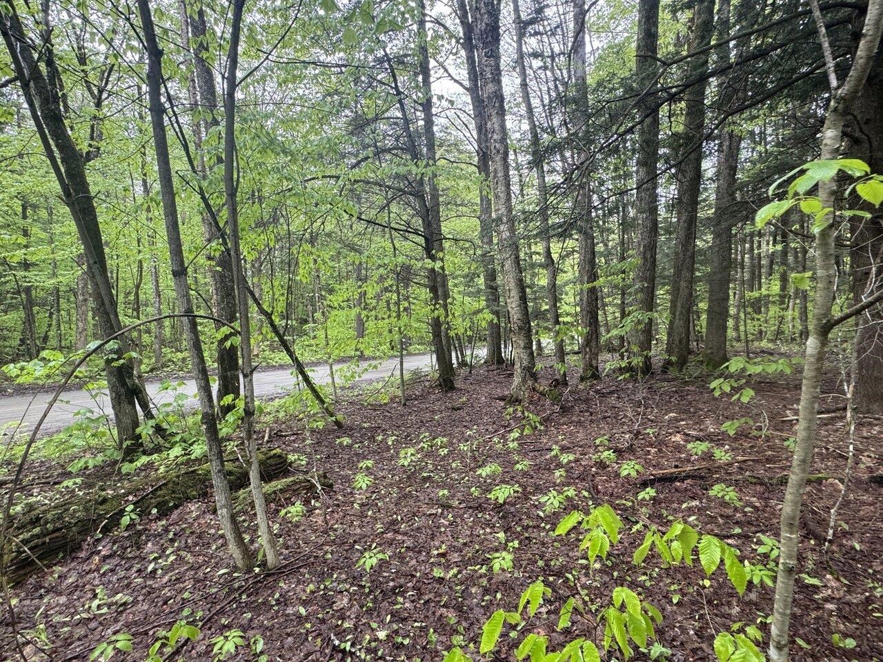 Separate 4-Acre Lot