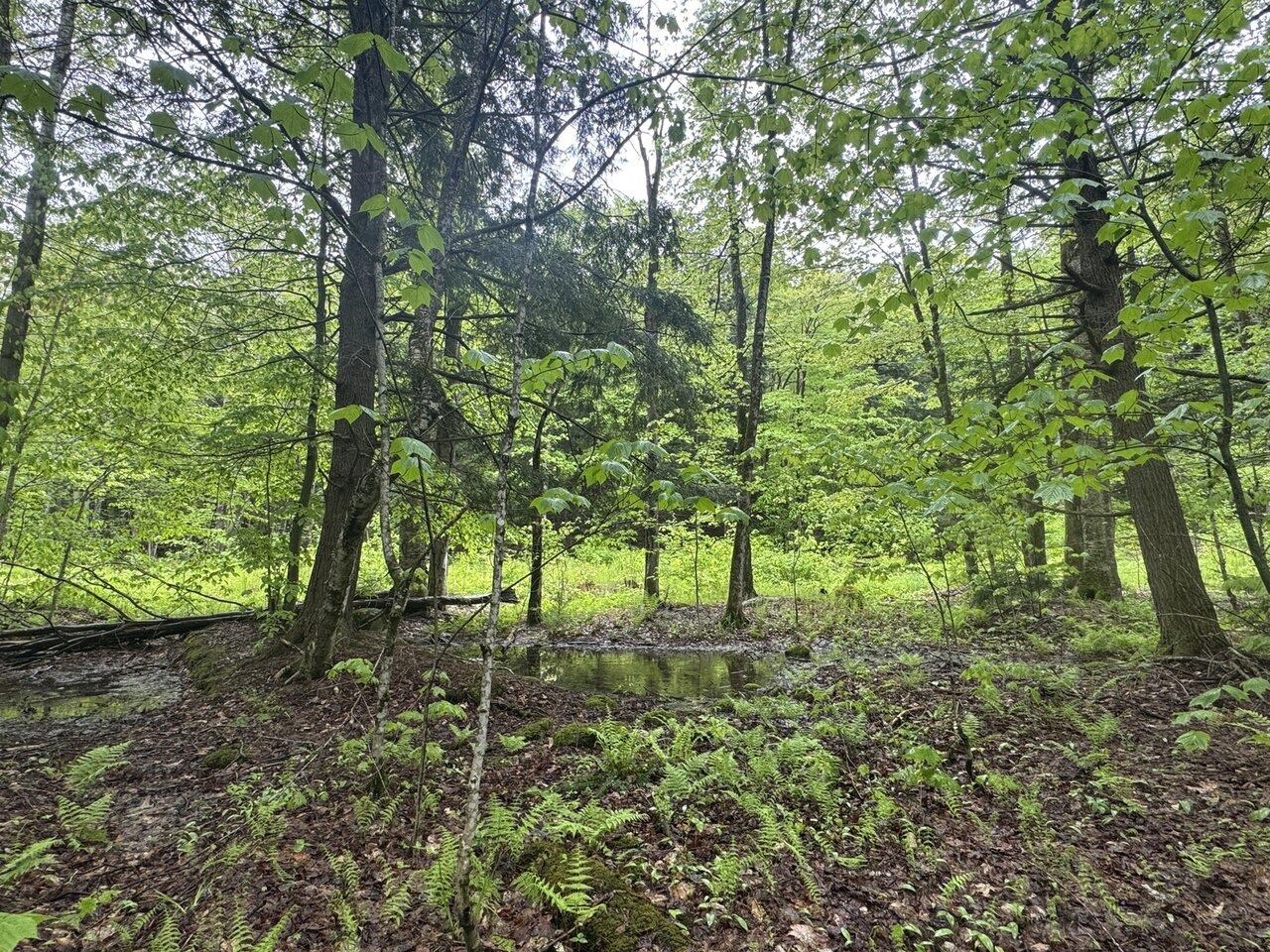1585 Amidon Road