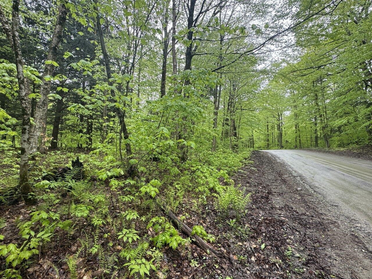 1585 Amidon Road