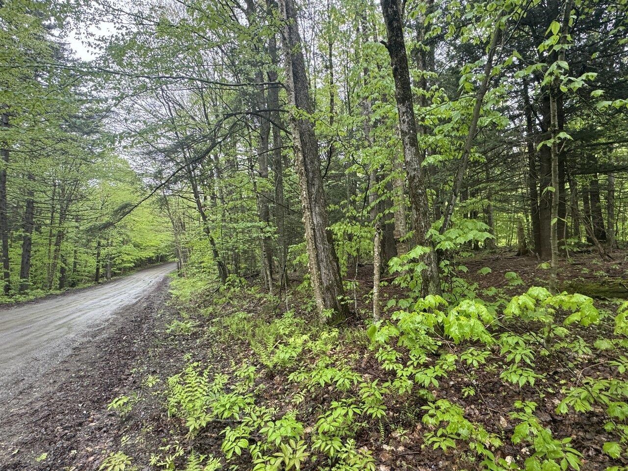 1585 Amidon Road