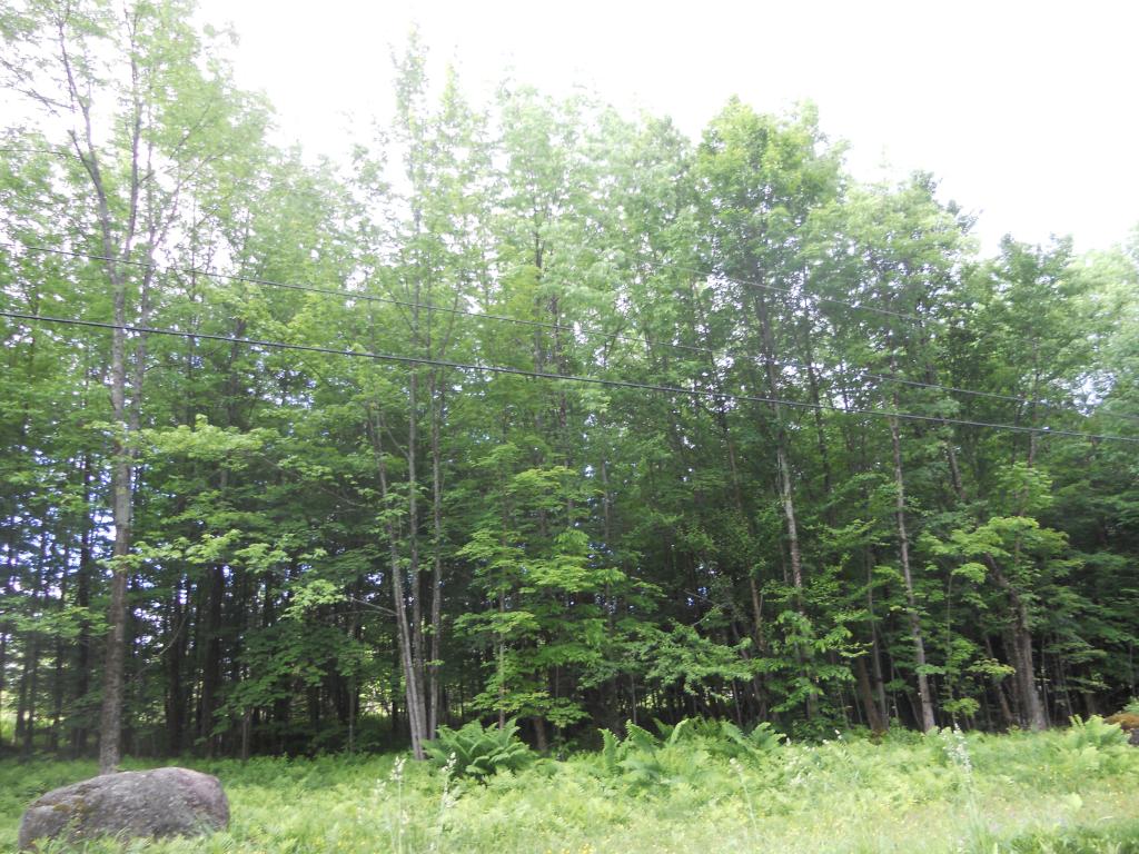 16 acres Centerville Road