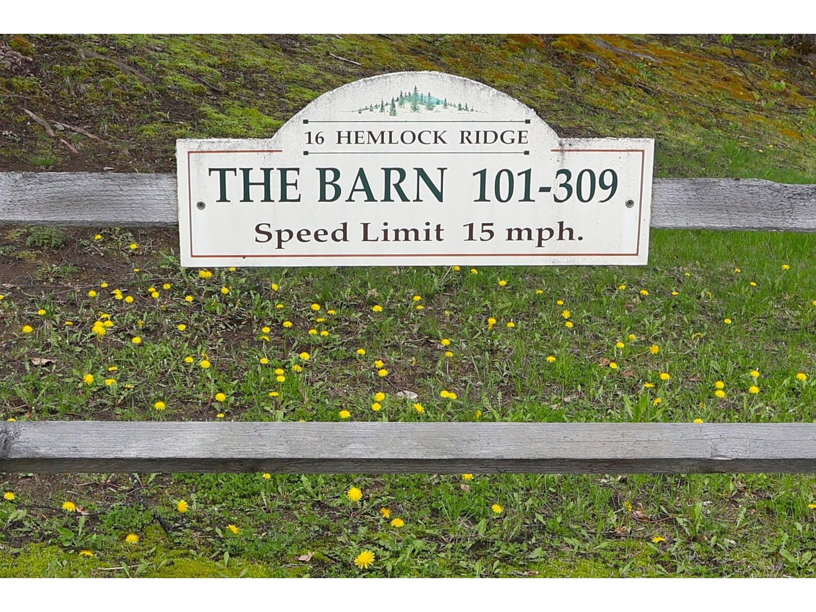 16 Hemlock Ridge Drive, Unit 101