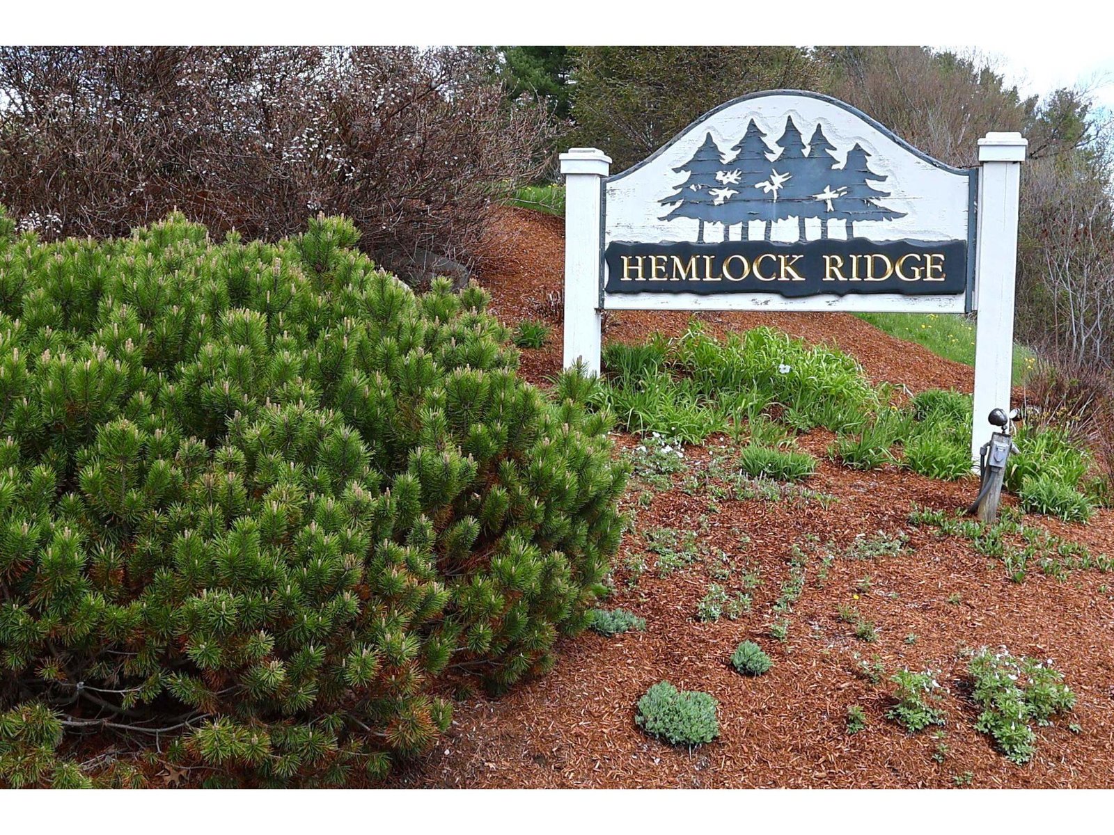 16 Hemlock Ridge Drive, Unit 101