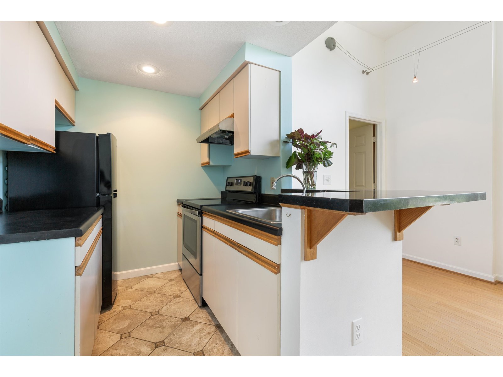 16 Hemlock Ridge Drive, Unit 204