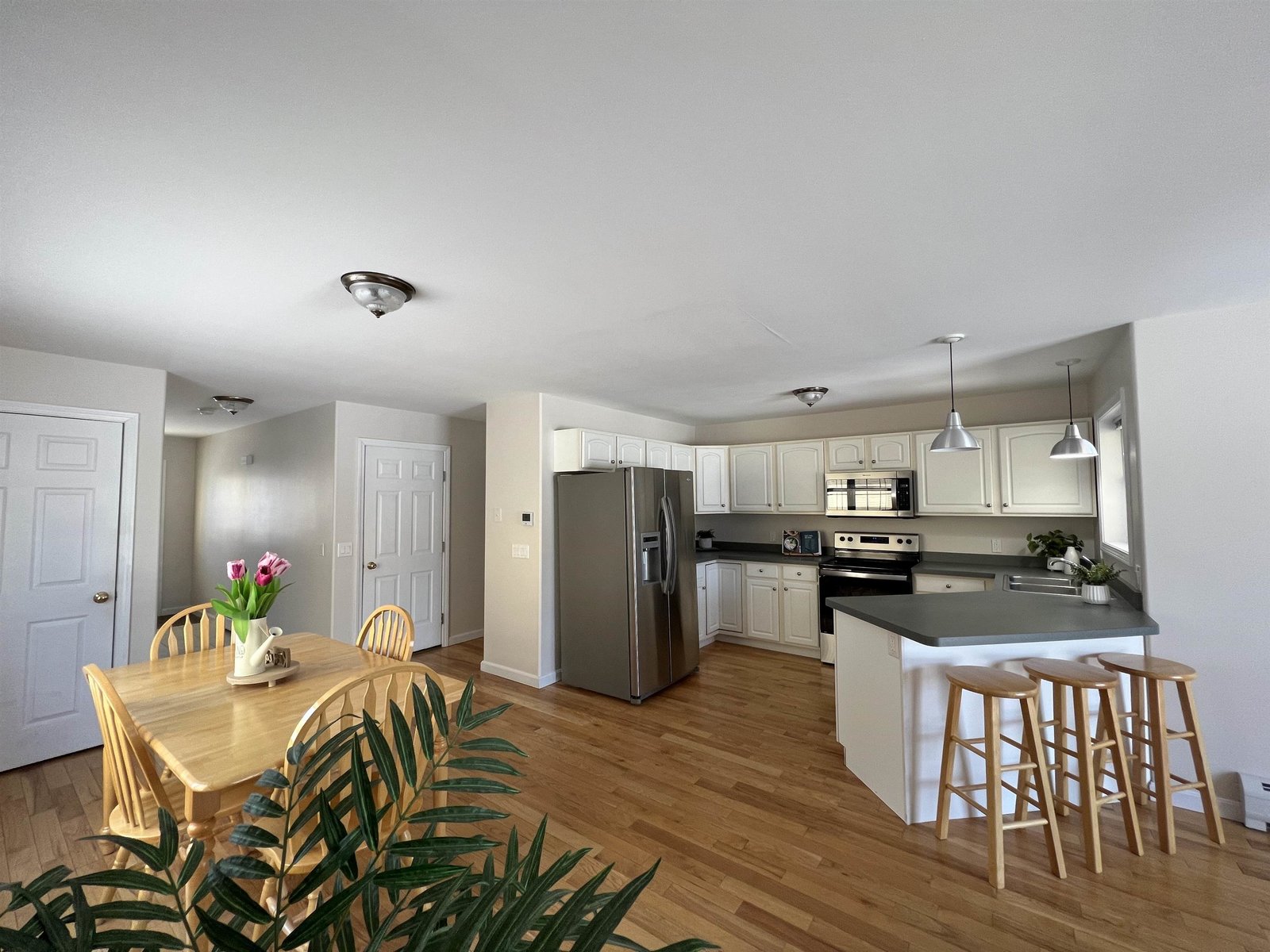 Dining/Kitchen