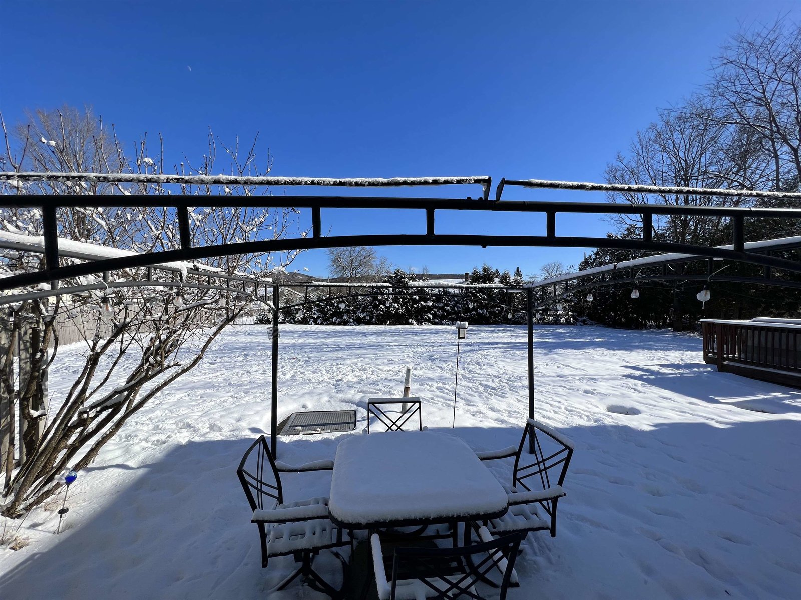 Patio/Backyard-