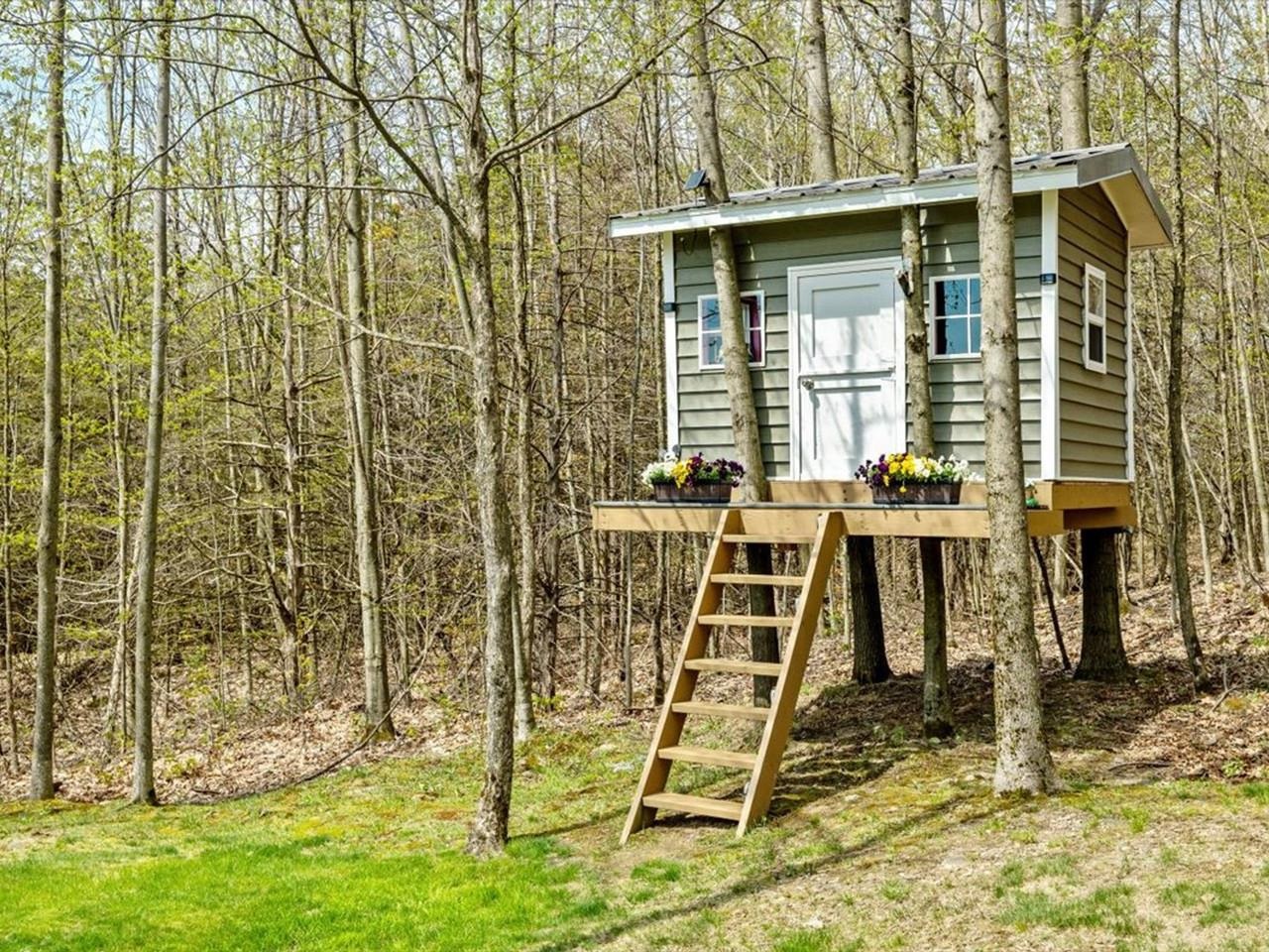 Tree House