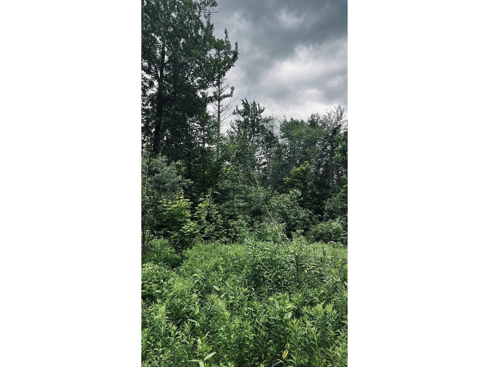 1606 Town Farm Road
