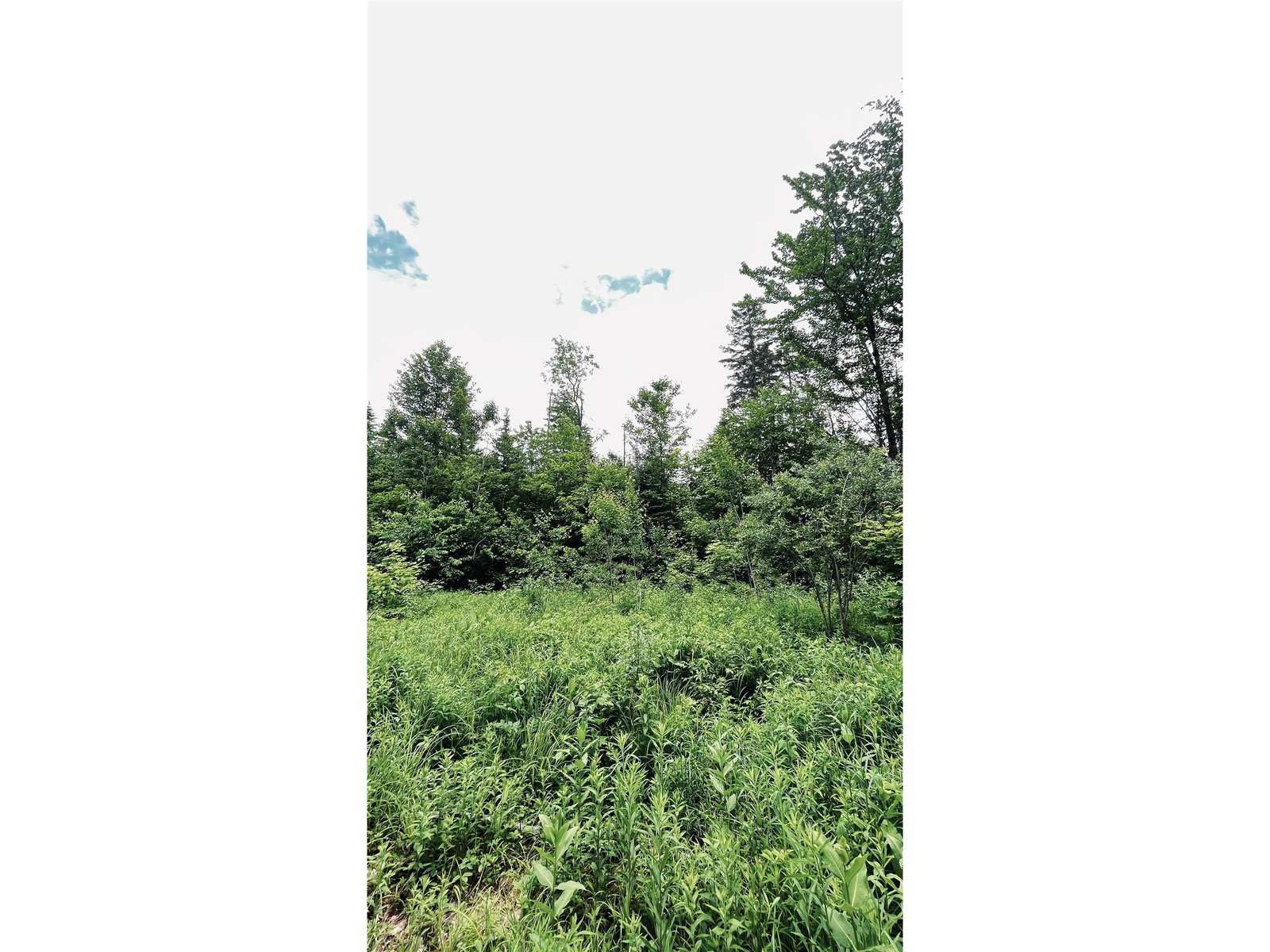 1606 Town Farm Road