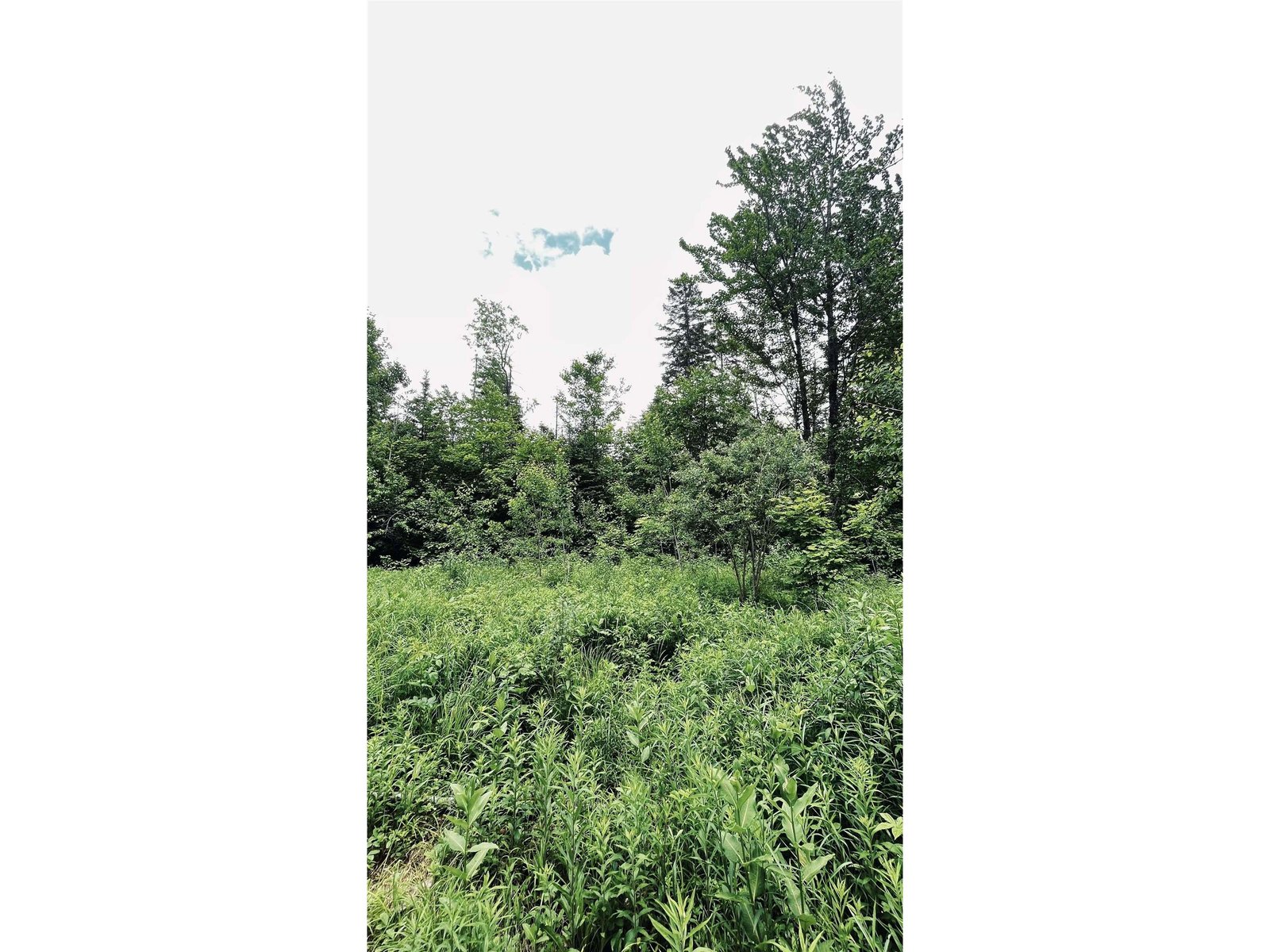 1606 Town Farm Road