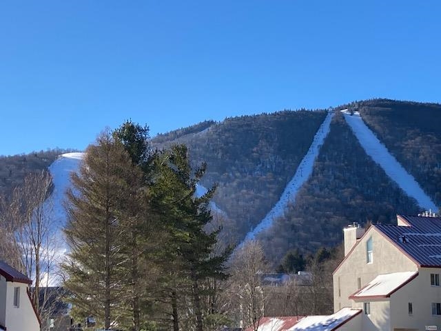 161 Mountainside Drive, Unit 2