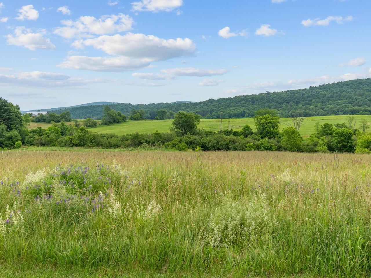 Beautiful rolling hills view