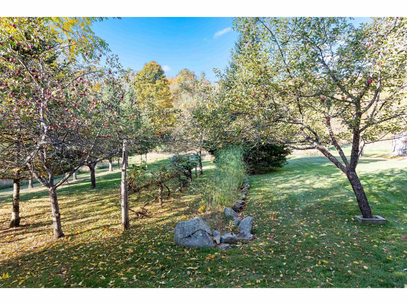 1632 Bradley Road