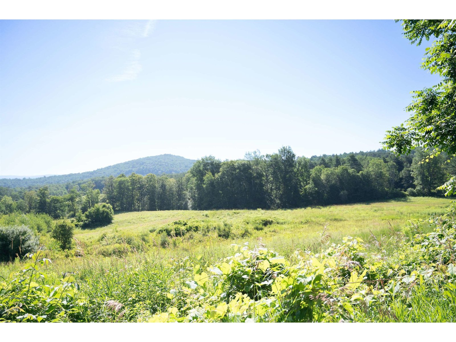 165 Dutton Farm Road