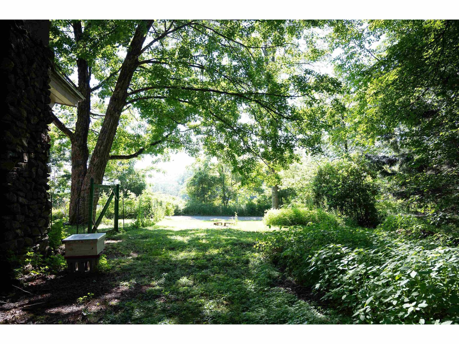 165 Dutton Farm Road