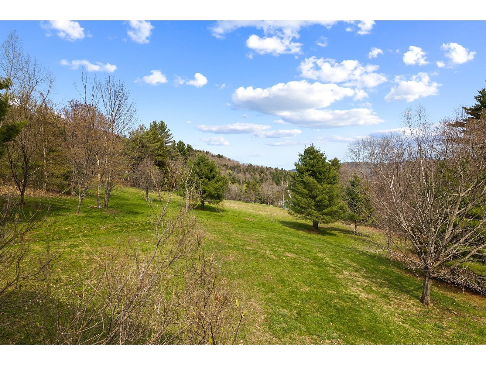 165 Morningstar Drive