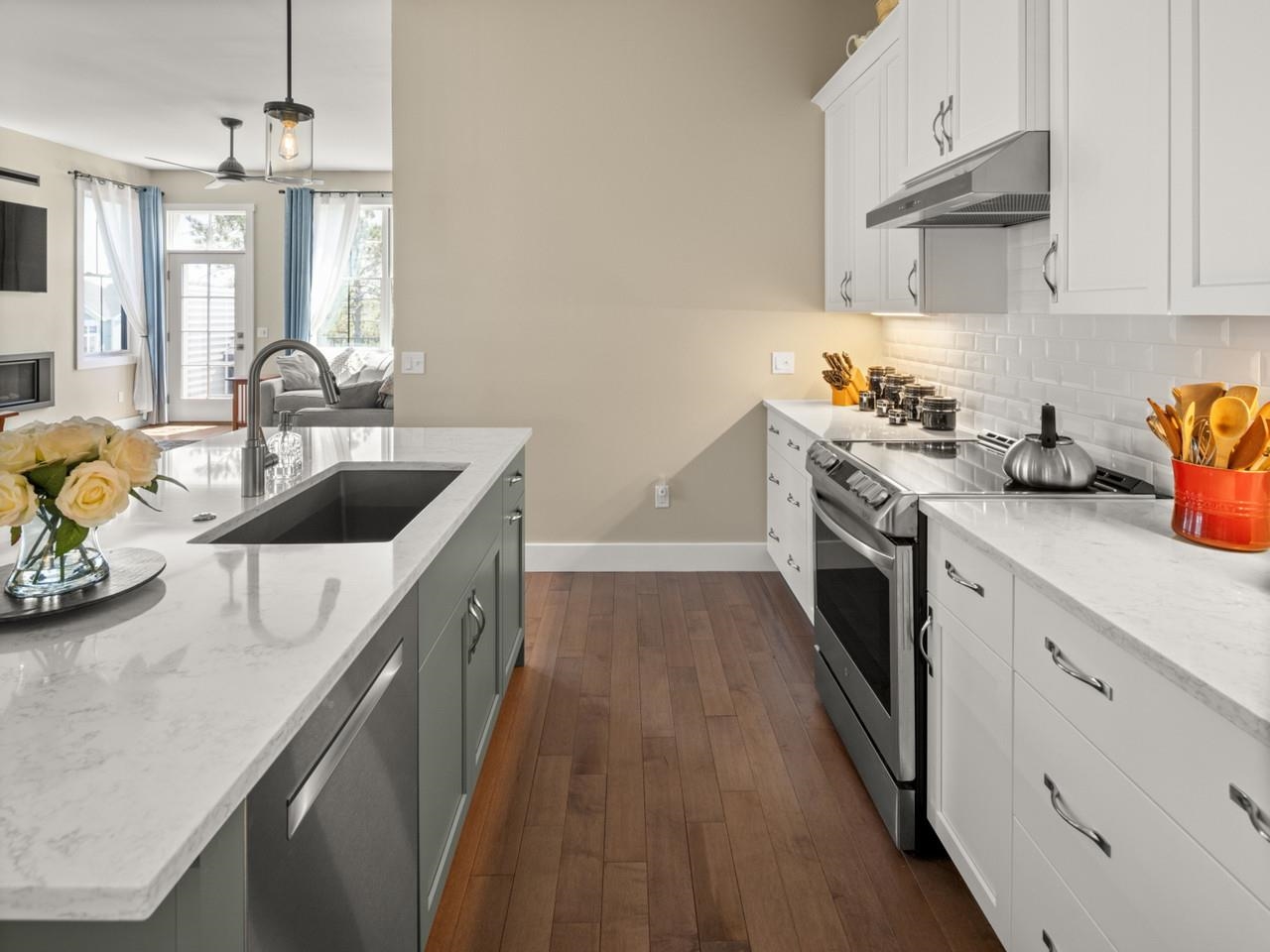 Induction Stove & Backsplash