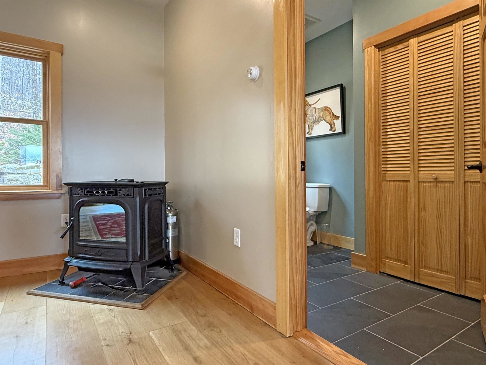 Living Room Pellet Stove