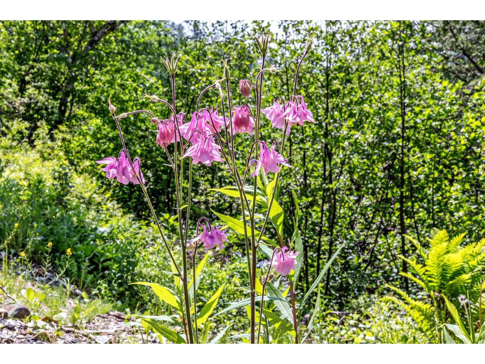 167 Eagle Ledge Road