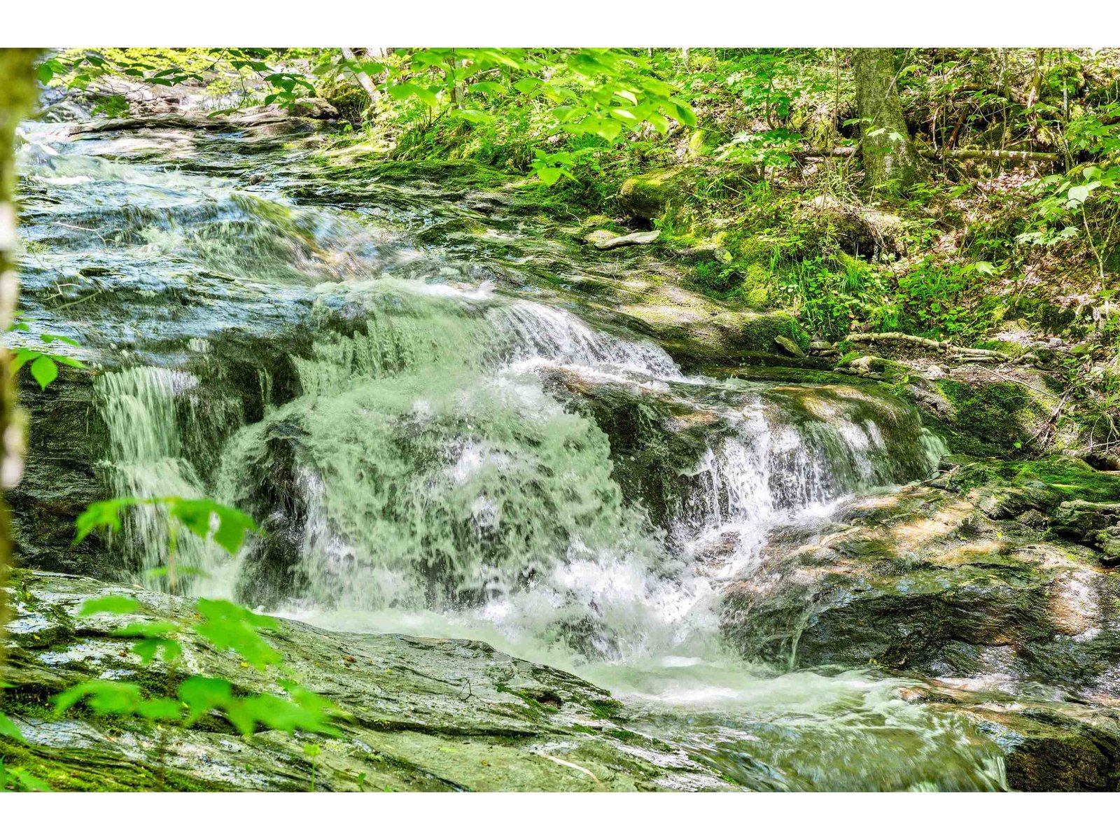Fryingpan Brook Meanders through the property,