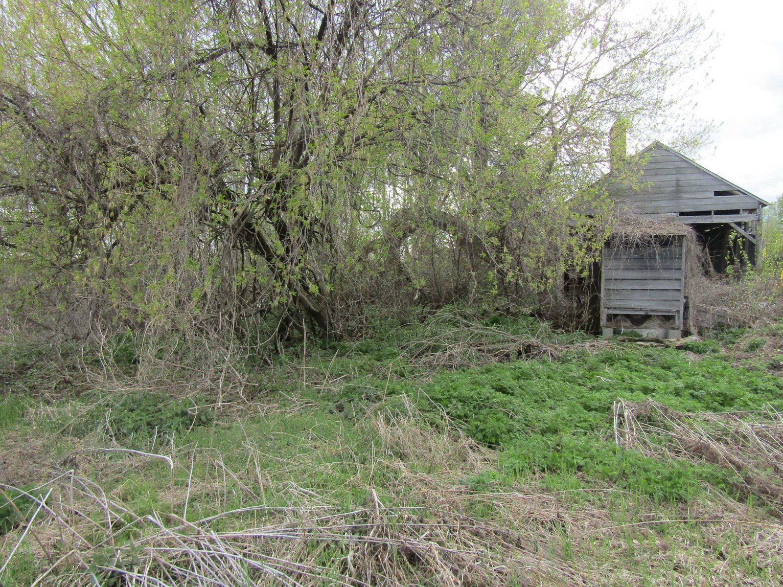 168 Border Road
