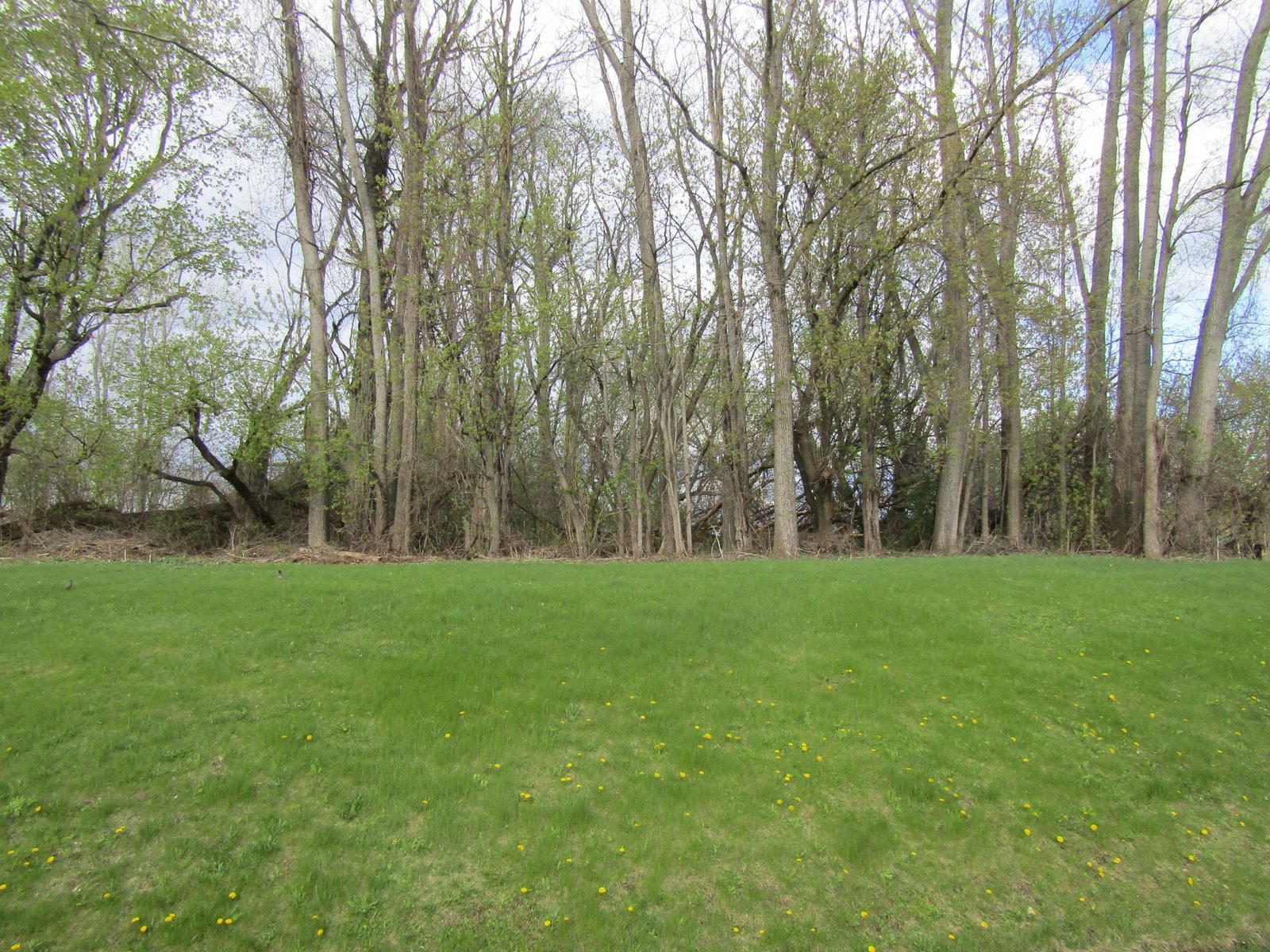 168 Border Road