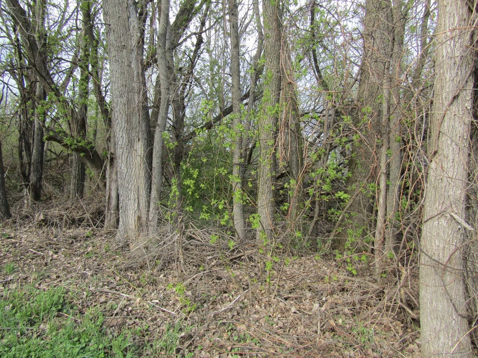 168 Border Road