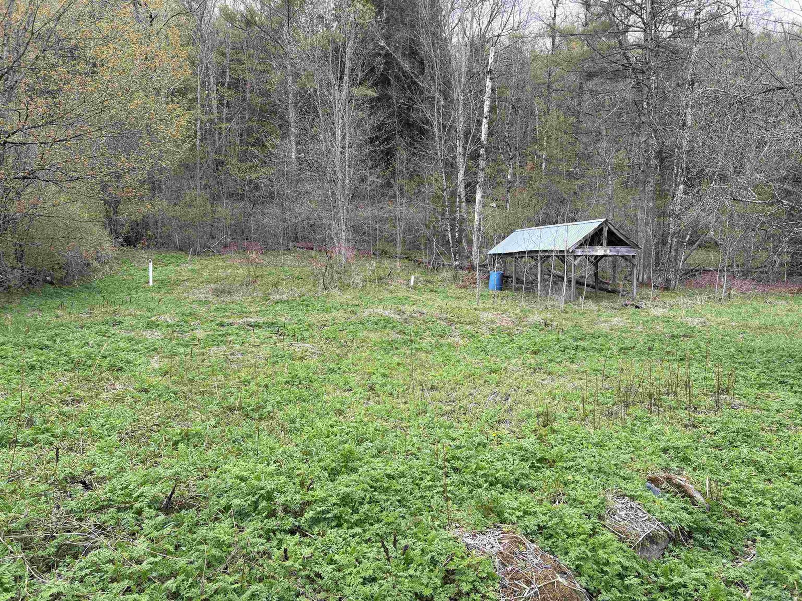 septic location on the triangular property