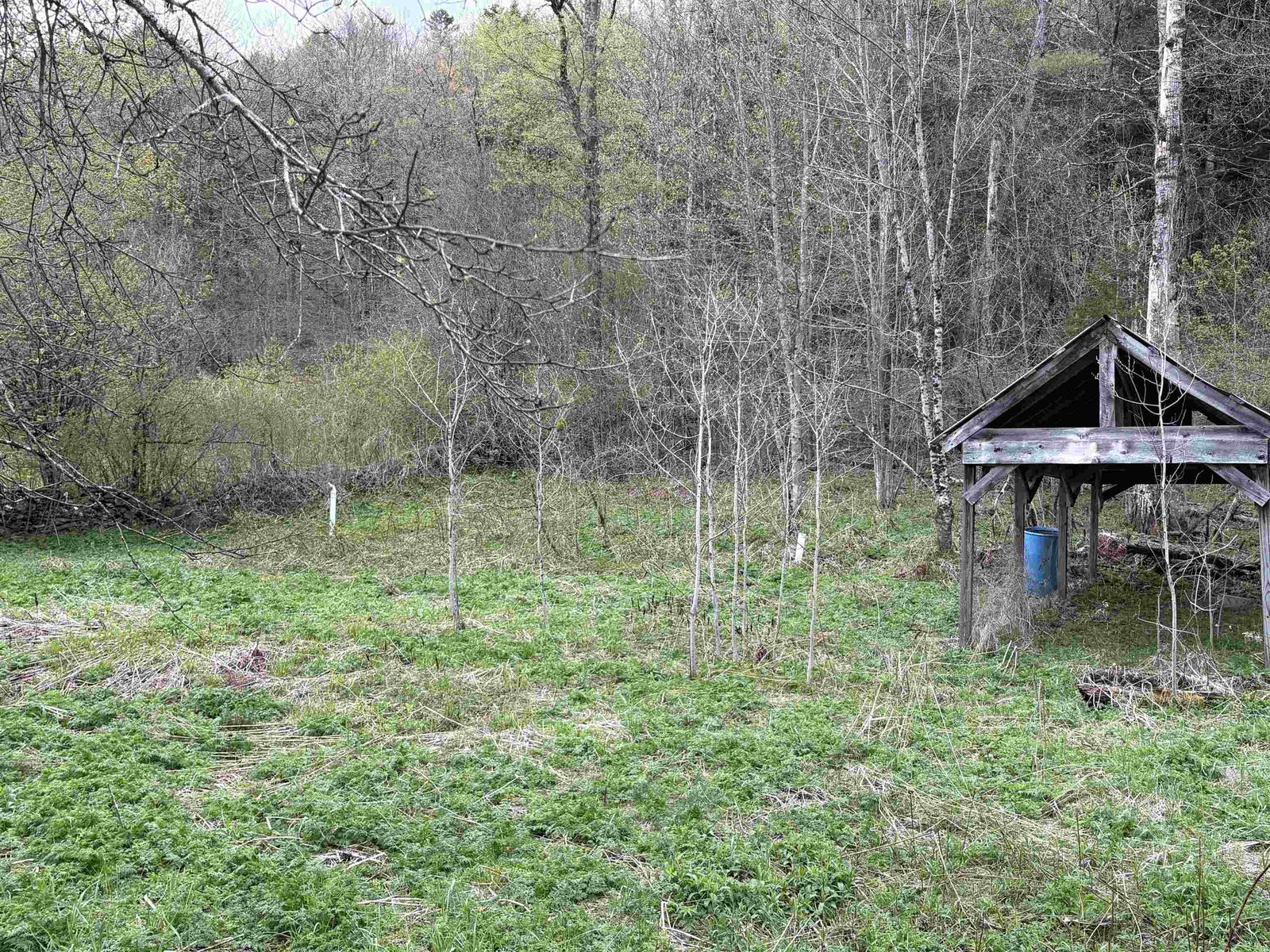 169 Bear Hill Road
