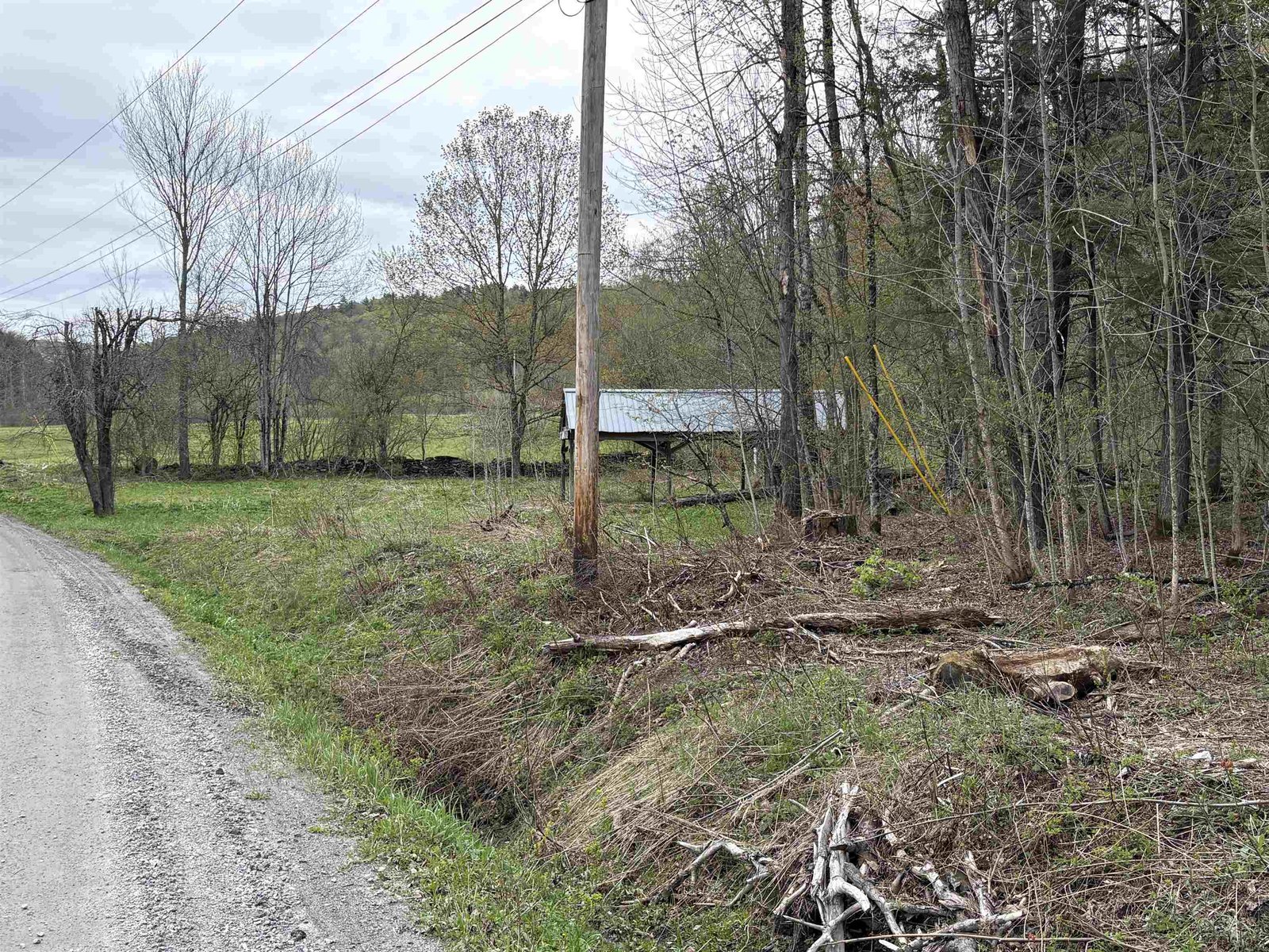 169 Bear Hill Road