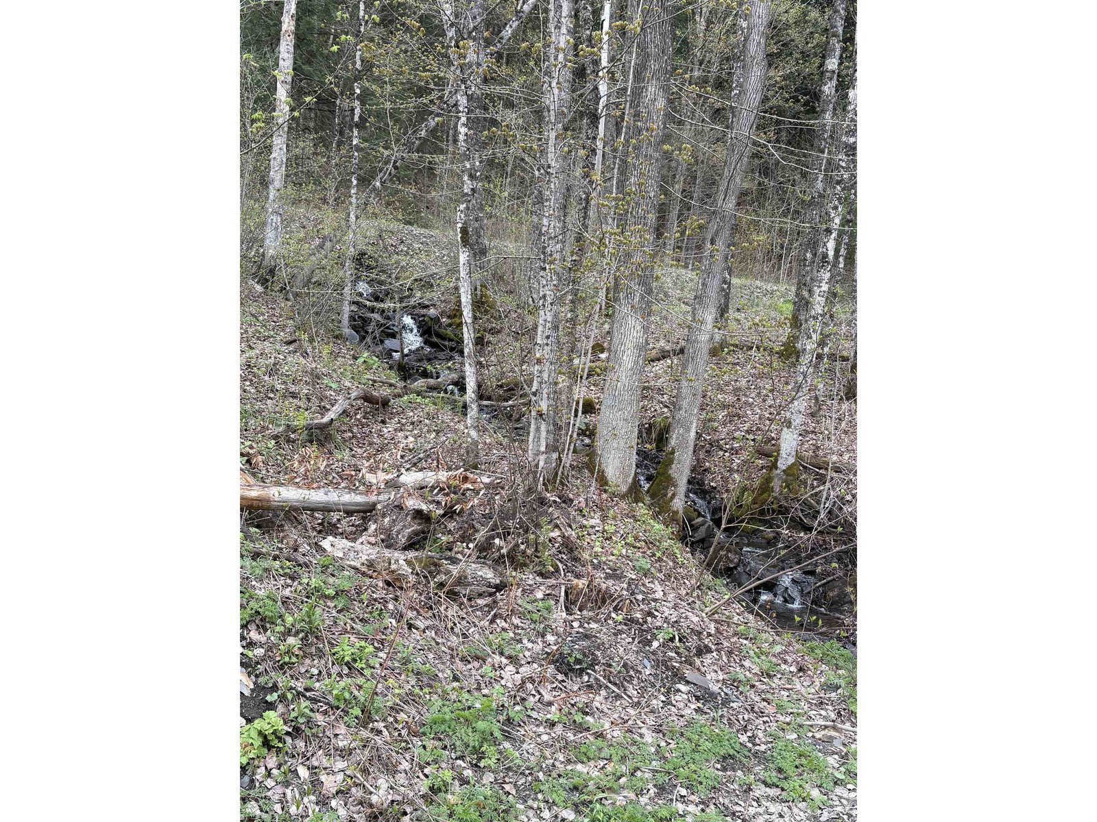 169 Bear Hill Road