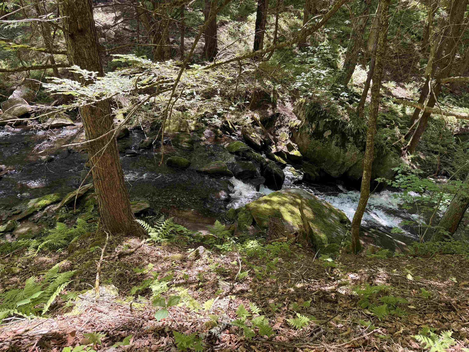 Stream View