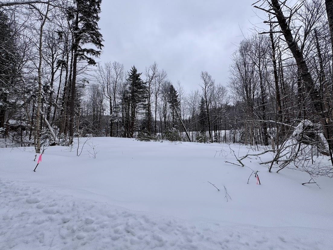 169 Sun and Ski Road