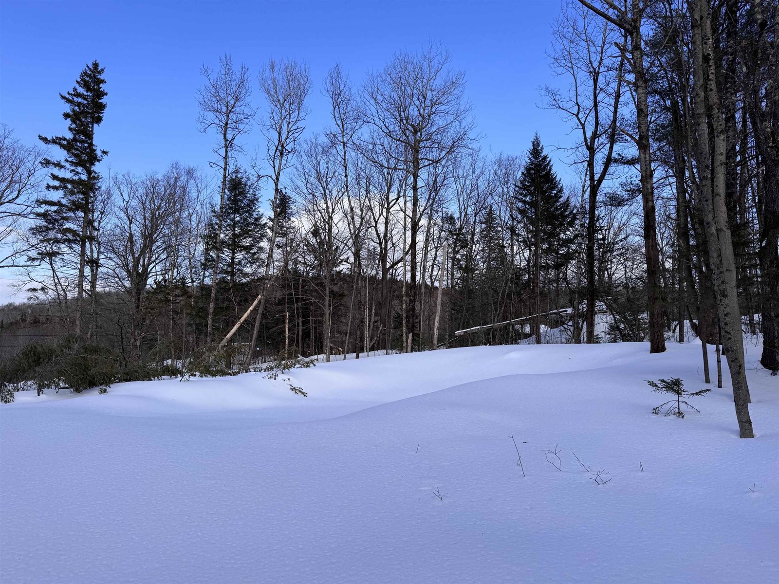 169 Sun and Ski Road