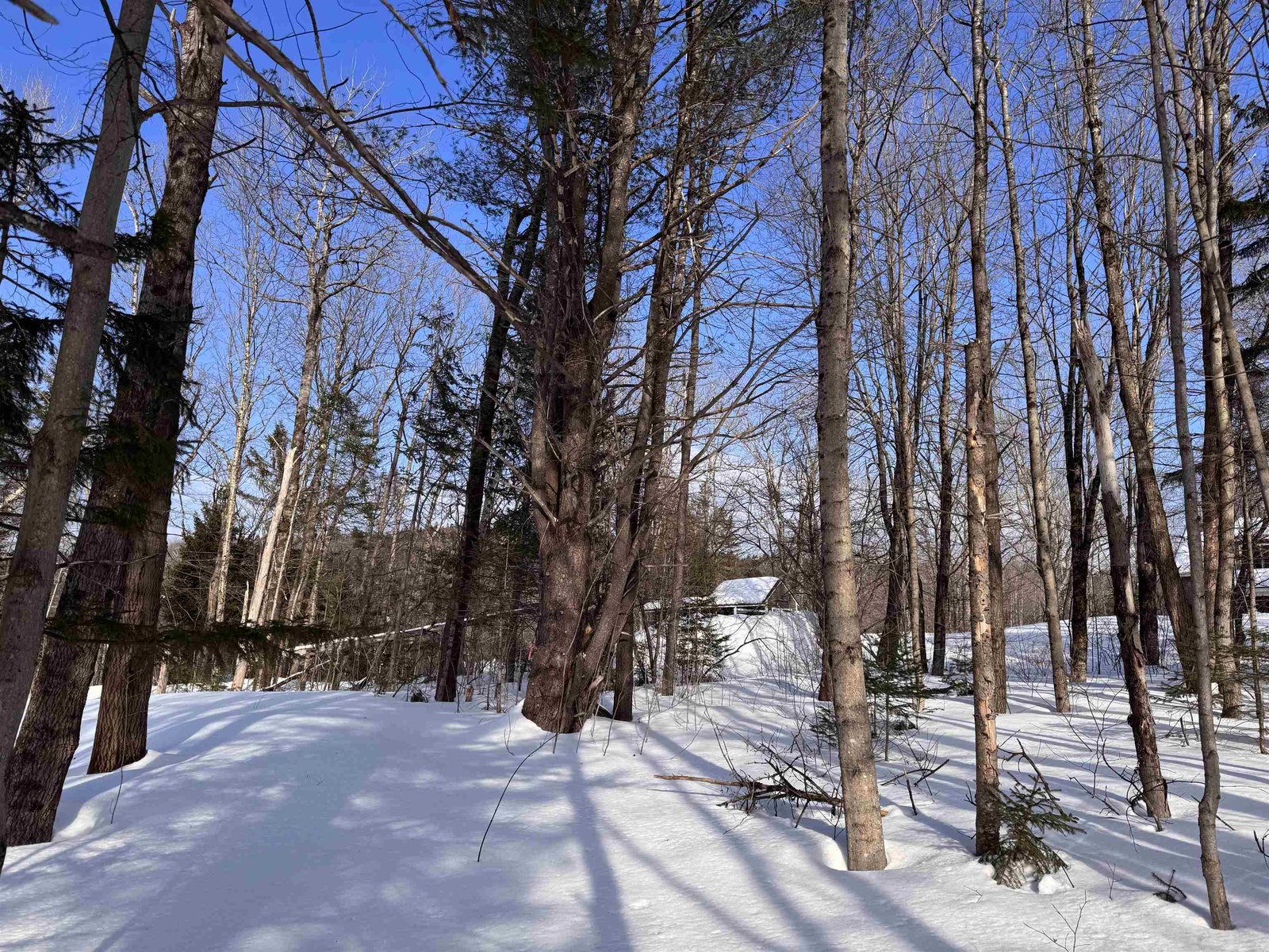 169 Sun and Ski Road