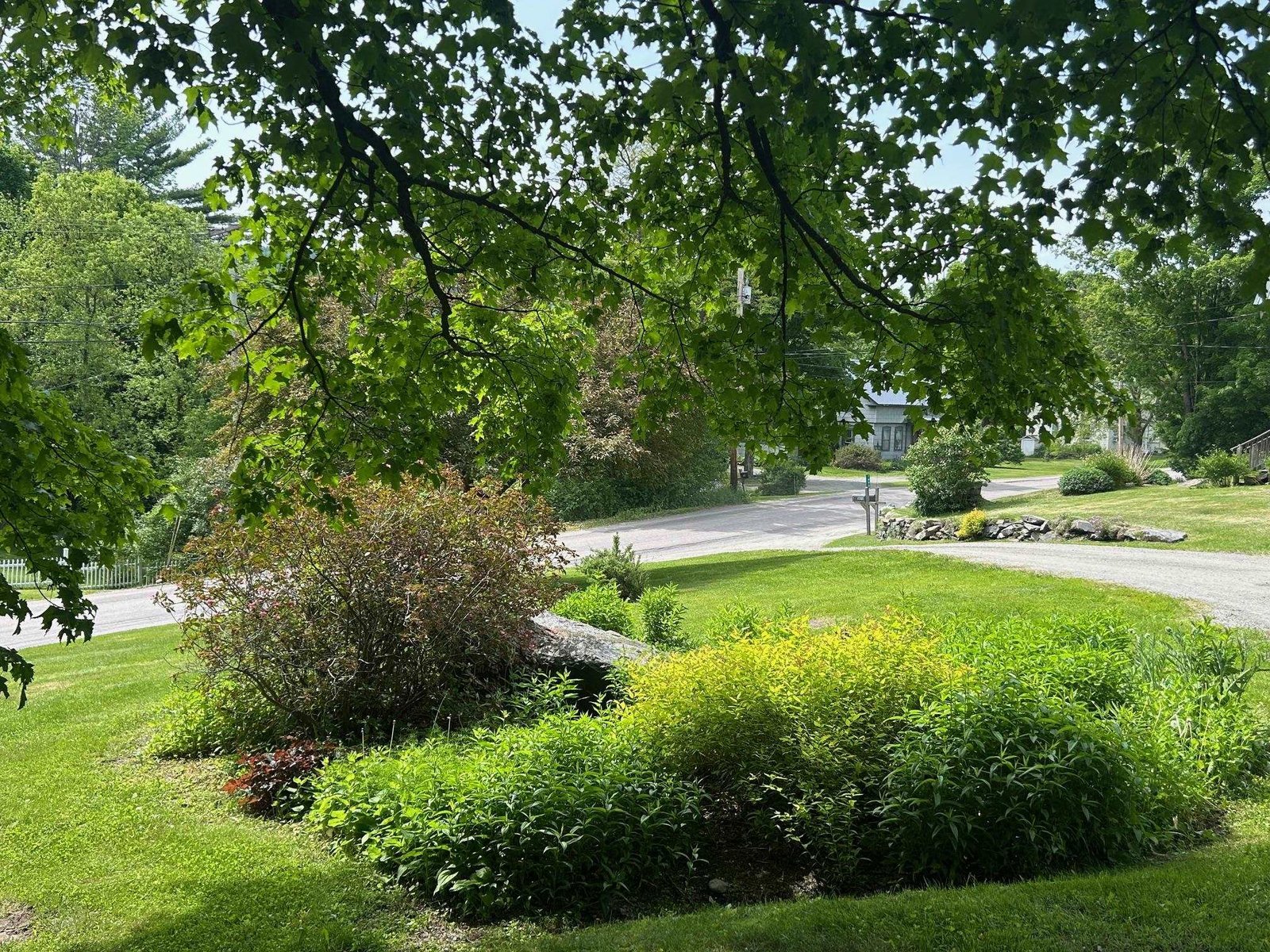 Another prennial garden