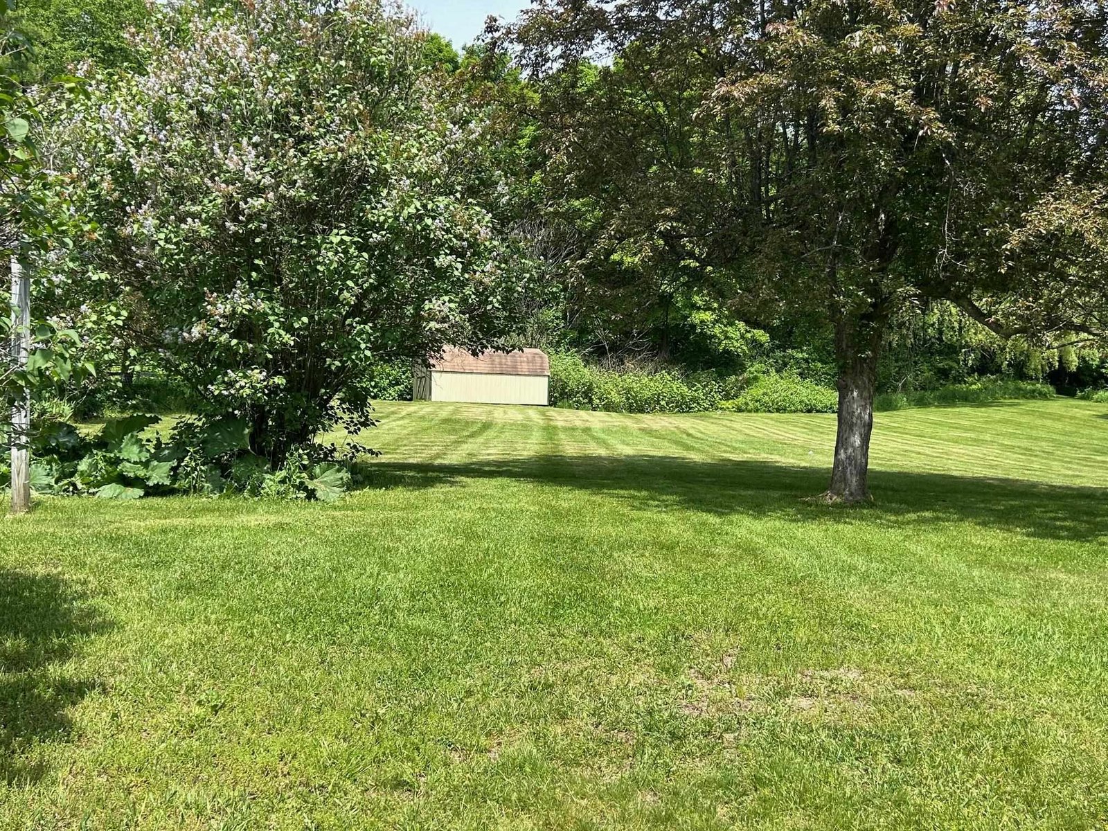 Sweeping back yard