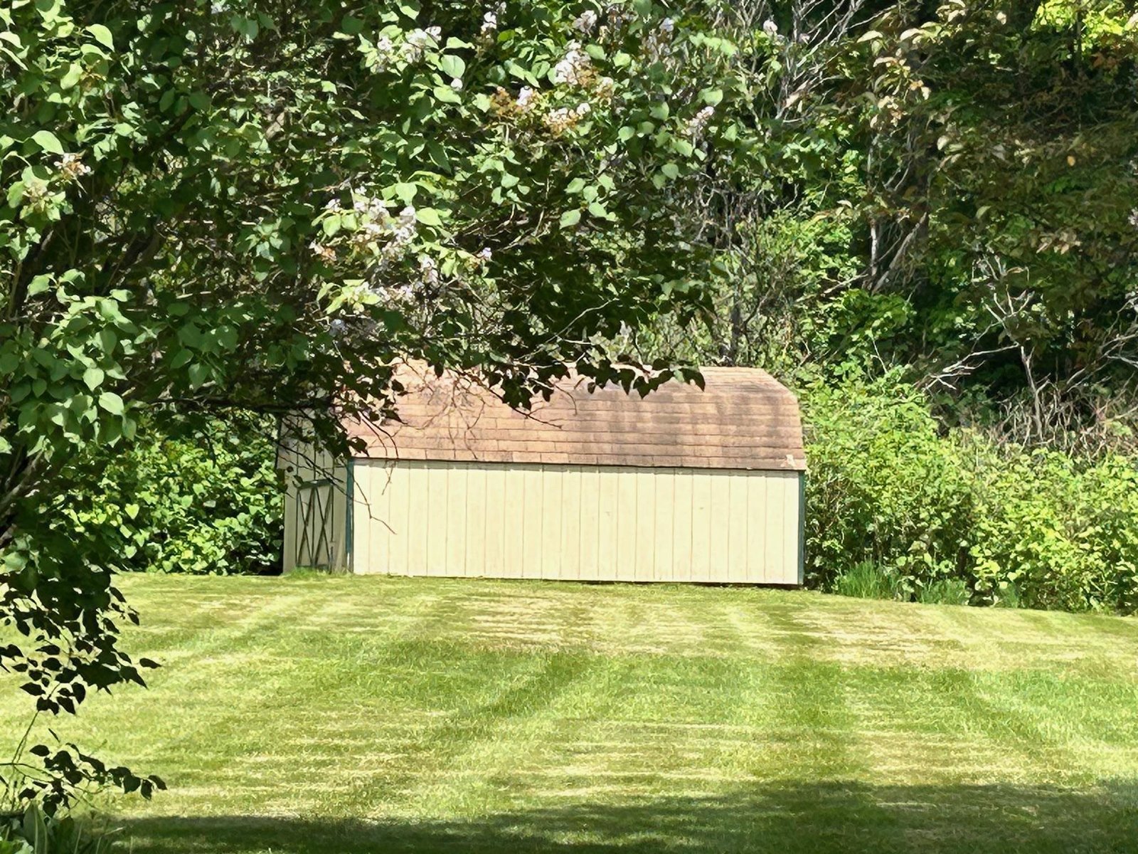Shed for all the equipment