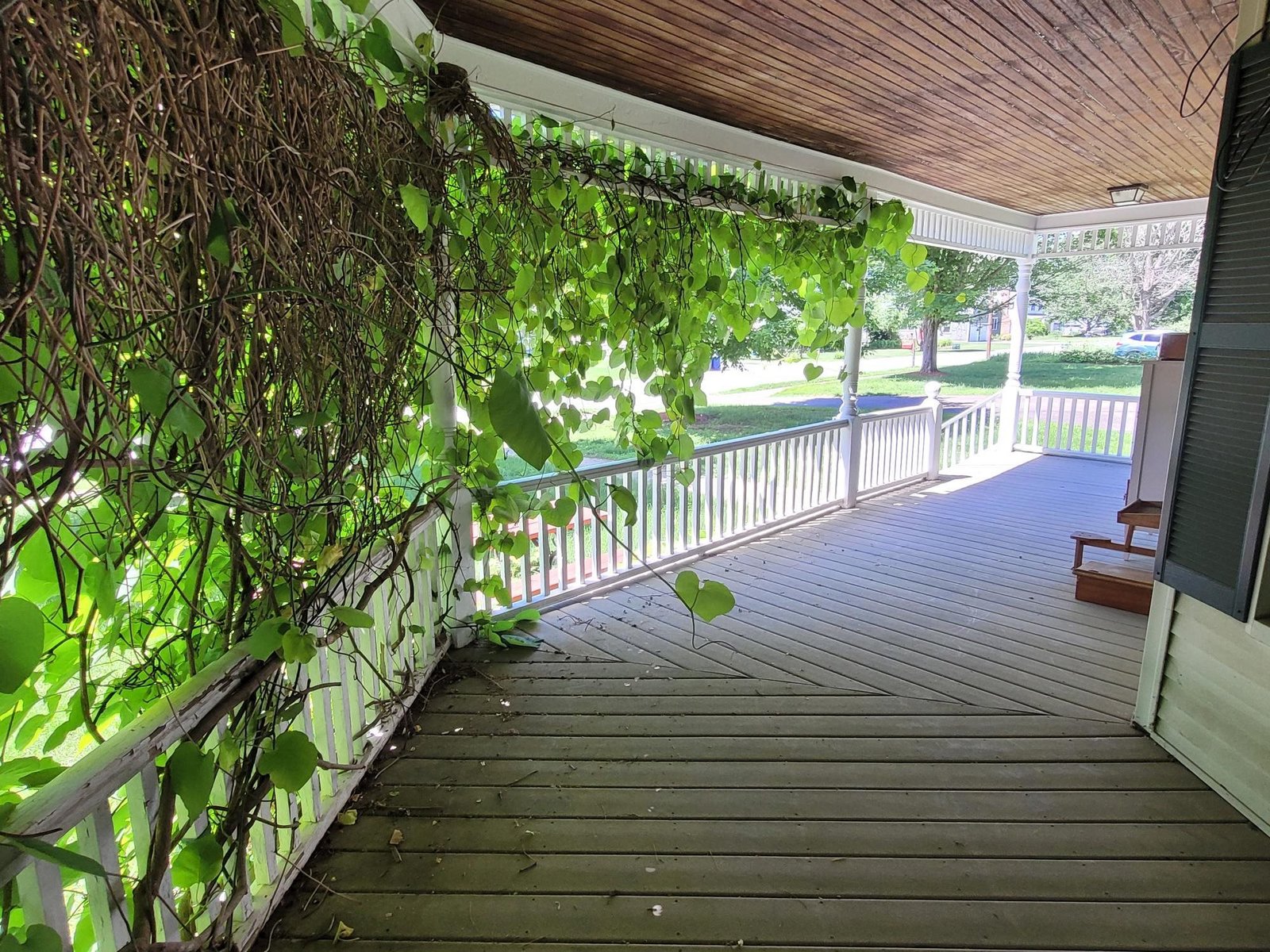 17 Maplewood Avenue