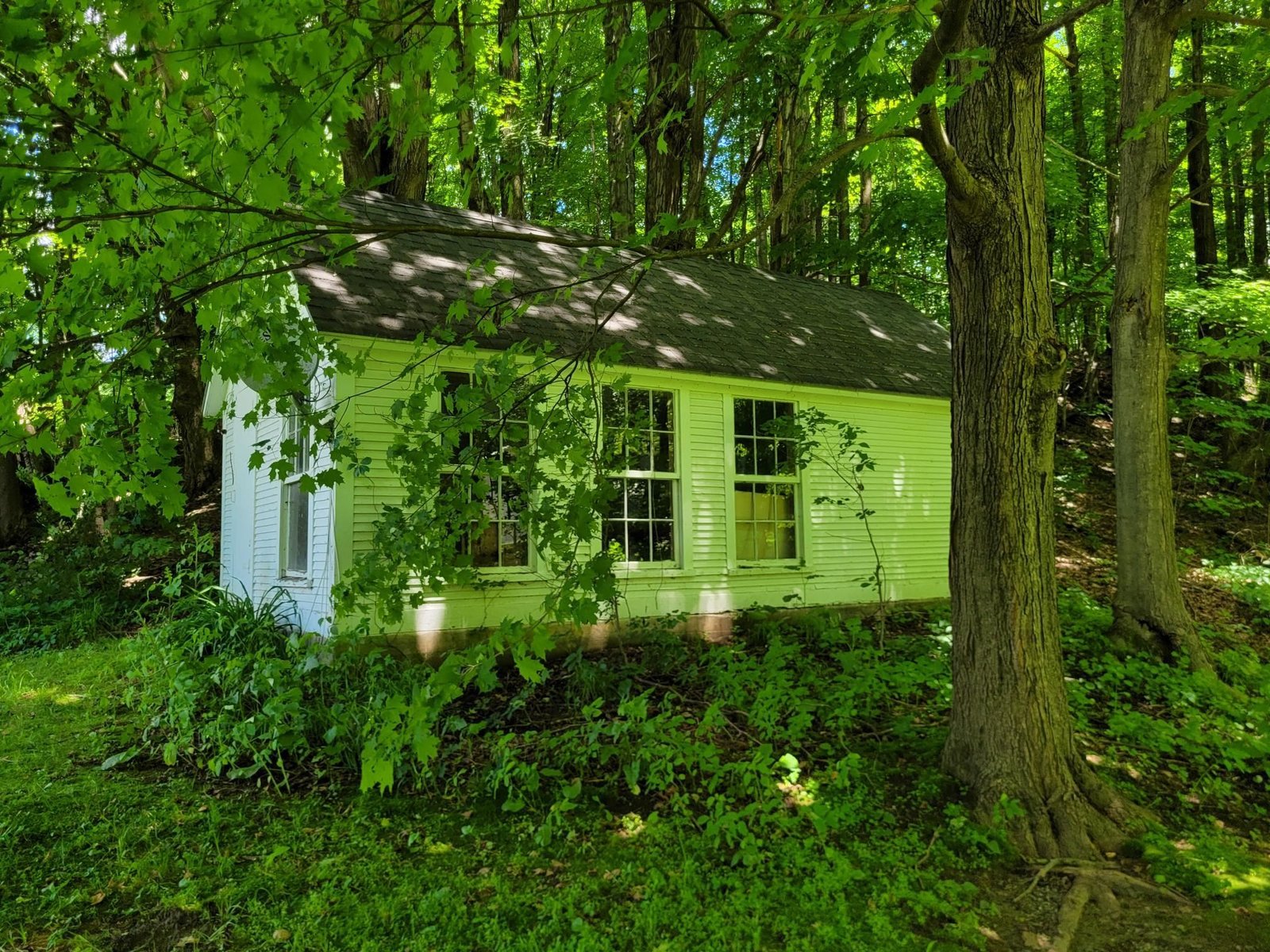 17 Maplewood Avenue