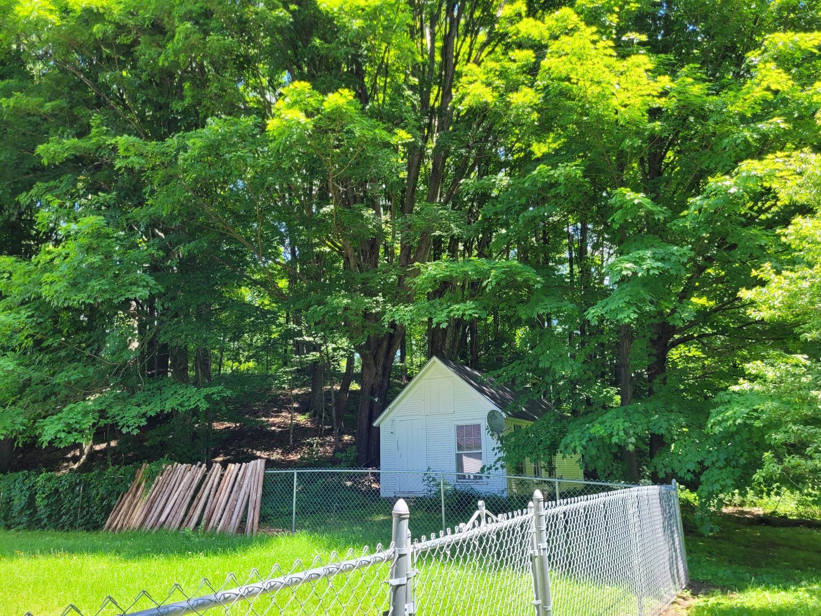 17 Maplewood Avenue