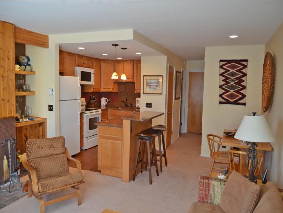17 Mountainside, Unit 17
