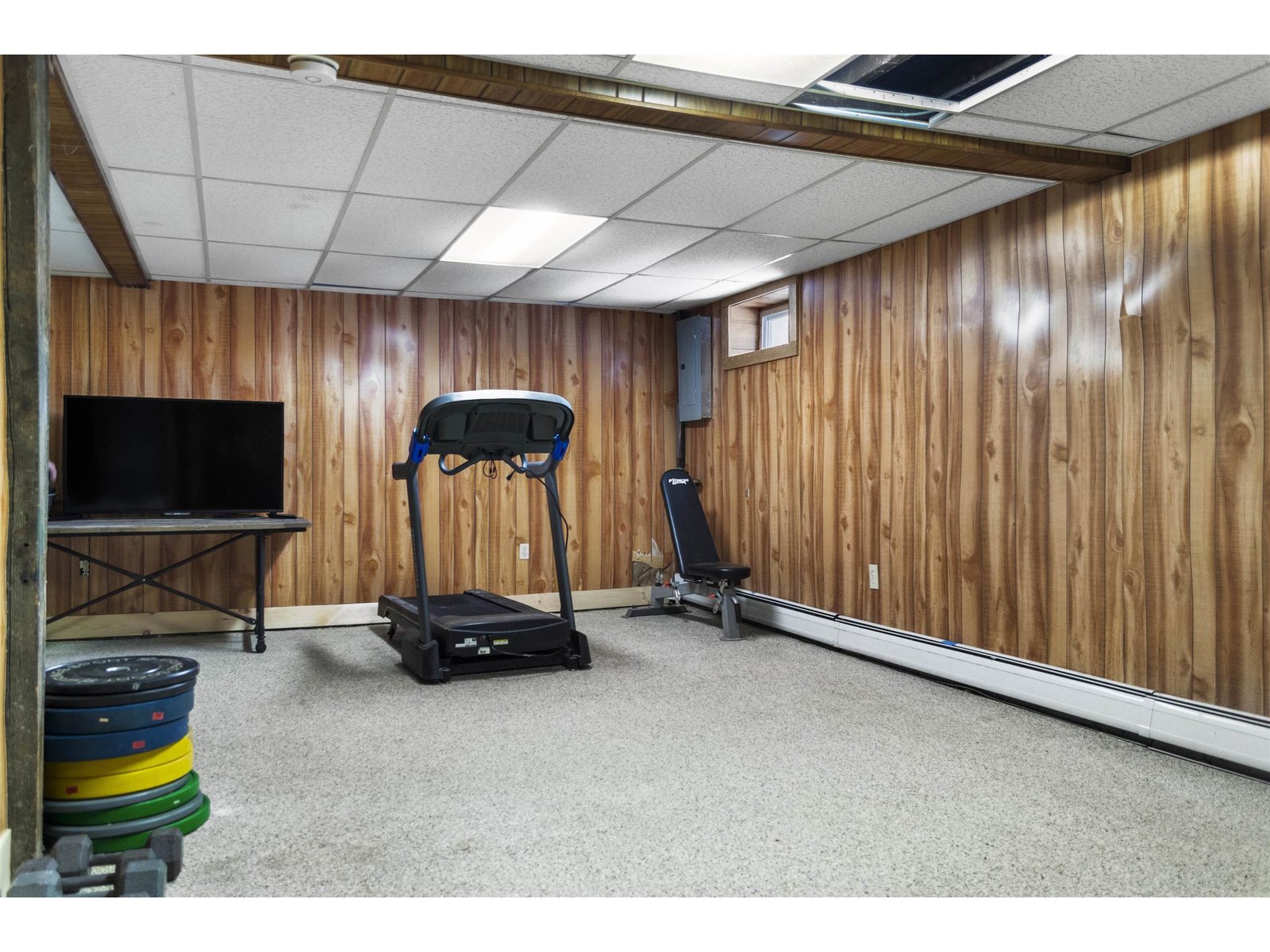 Family Room (lower level)